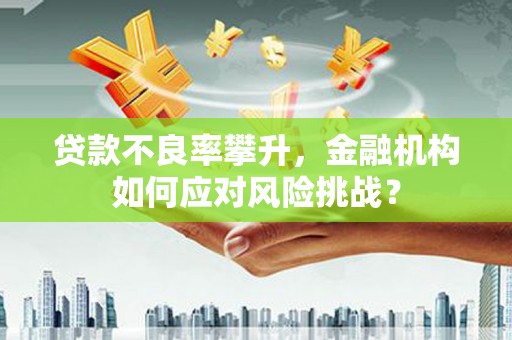 兴县贷款不良率攀升，金融机构如何应对风险挑战？