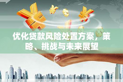 兴县优化贷款风险处置方案，策略、挑战与未来展望