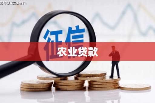 兴县农业贷款