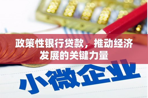 兴县政策性银行贷款，推动经济发展的关键力量