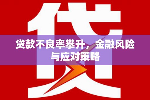 兴县贷款不良率攀升，金融风险与应对策略