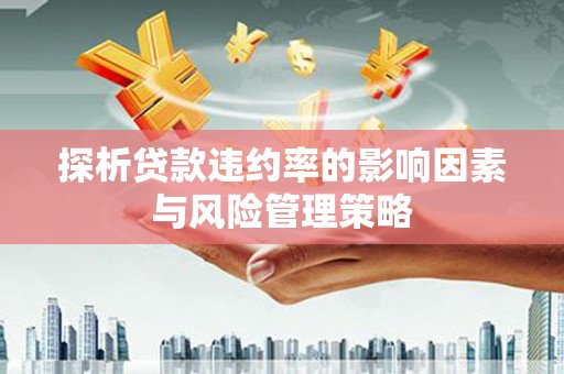 兴县探析贷款违约率的影响因素与风险管理策略