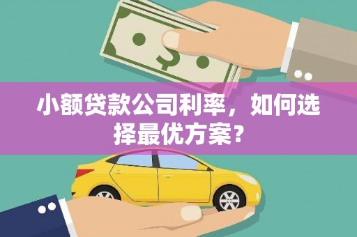 兴县小额贷款公司利率，如何选择最优方案？