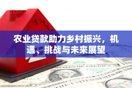 兴县农业贷款助力乡村振兴，机遇、挑战与未来展望