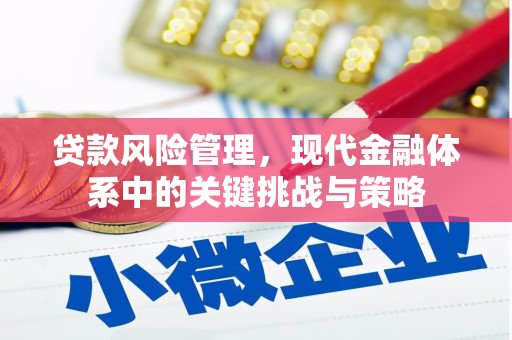兴县贷款风险管理，现代金融体系中的关键挑战与策略