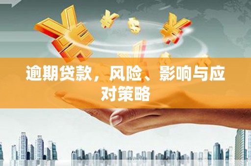 兴县逾期贷款，风险、影响与应对策略