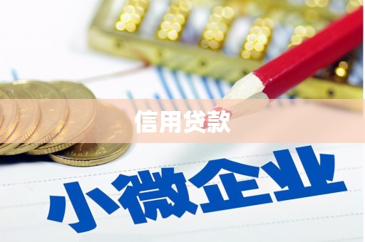 兴县信用贷款