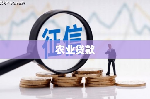 兴县农业贷款
