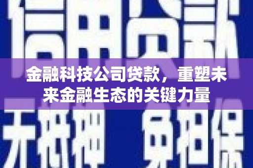兴县金融科技公司贷款，重塑未来金融生态的关键力量