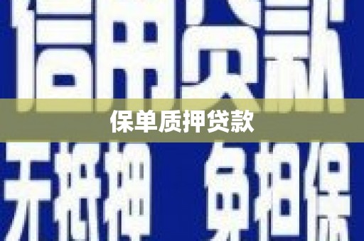 兴县保单质押贷款