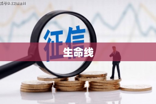 兴县生命线