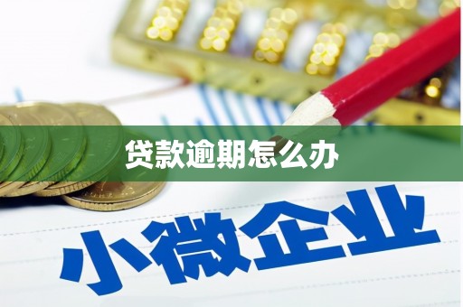 兴县贷款逾期怎么办