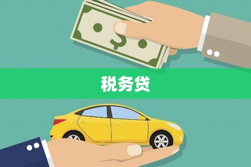 兴县税务贷
