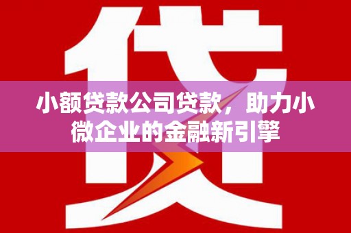 兴县小额贷款公司贷款，助力小微企业的金融新引擎