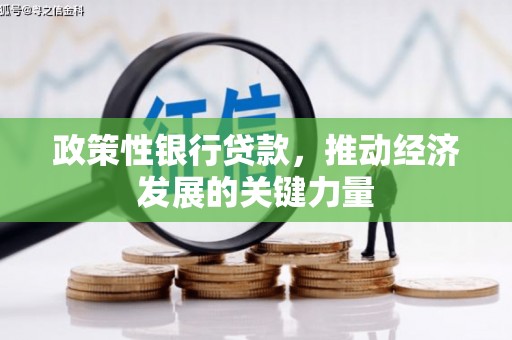 兴县政策性银行贷款，推动经济发展的关键力量