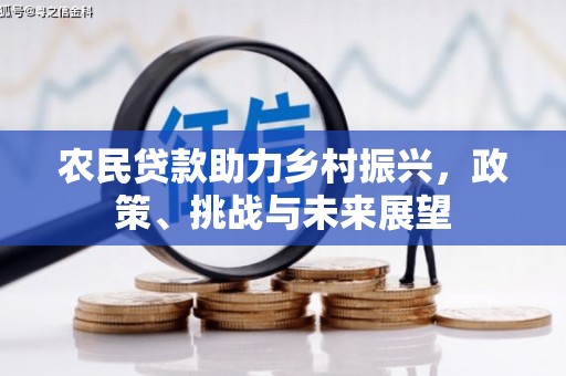 兴县农民贷款助力乡村振兴，政策、挑战与未来展望