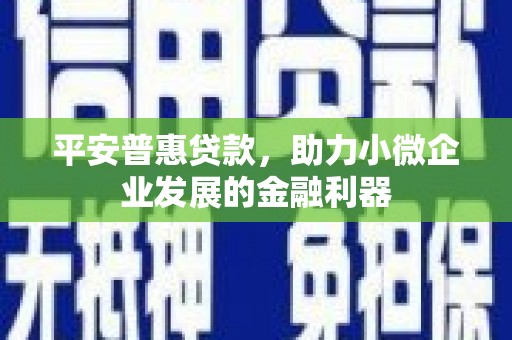 兴县平安普惠贷款，助力小微企业发展的金融利器