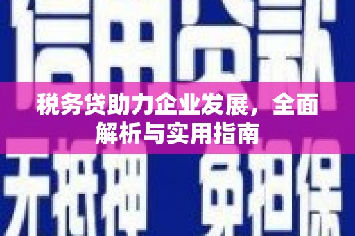 兴县税务贷助力企业发展，全面解析与实用指南