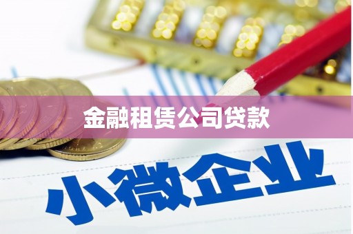 兴县金融租赁公司贷款