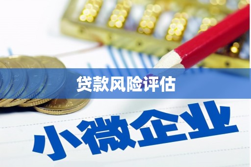 兴县贷款风险评估