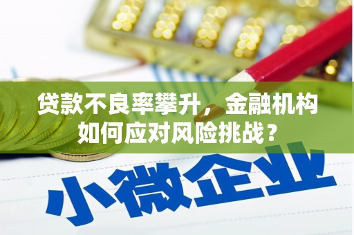 兴县贷款不良率攀升，金融机构如何应对风险挑战？