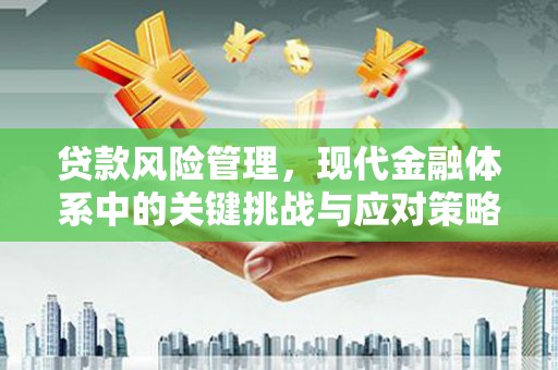 兴县贷款风险管理，现代金融体系中的关键挑战与应对策略