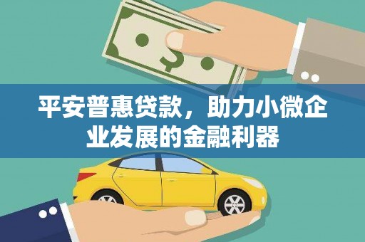 兴县平安普惠贷款，助力小微企业发展的金融利器