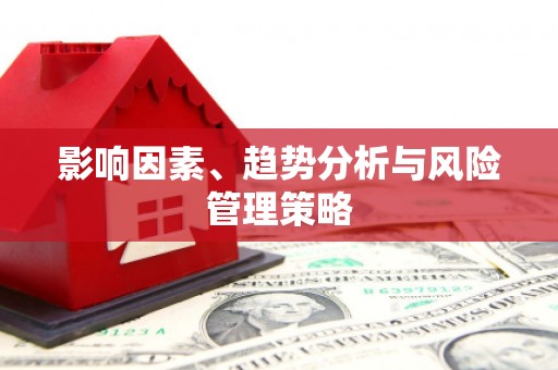 兴县影响因素、趋势分析与风险管理策略