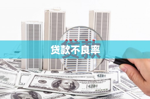 兴县贷款不良率