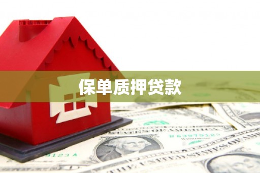 兴县保单质押贷款