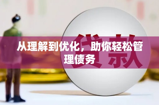 兴县从理解到优化，助你轻松管理债务