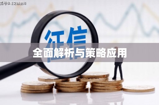 兴县全面解析与策略应用