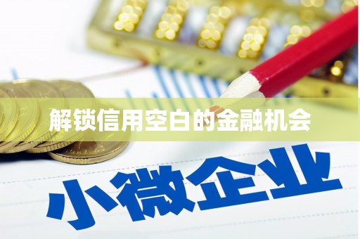 兴县解锁信用空白的金融机会