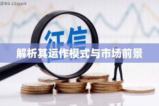 兴县解析其运作模式与市场前景
