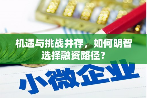 兴县机遇与挑战并存，如何明智选择融资路径？