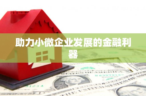 兴县助力小微企业发展的金融利器
