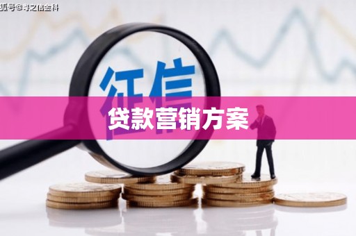 兴县贷款营销方案