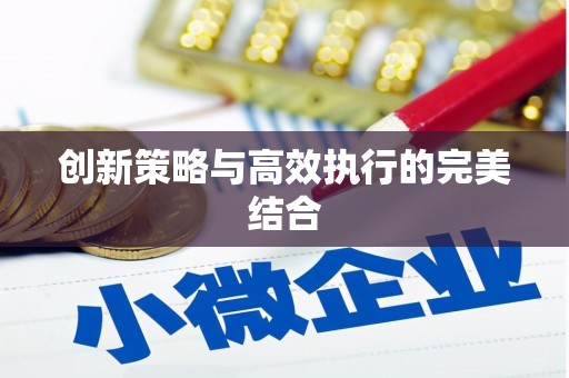 兴县创新策略与高效执行的完美结合